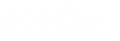 Eagle-Pass-TX-Pest-Control-Service